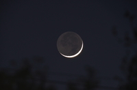 20200425Moon.jpg