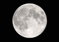 20200507ISS_Monn.jpeg