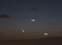 58325.jpg