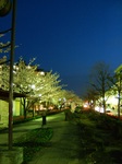 DSCF4800s.jpg