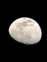 IMG_1873.jpeg