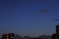 S__7421990.jpg